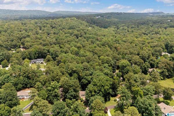 3641 LESLIE ANN ROAD, Vestavia Hills, AL 35243