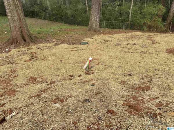 340 EASTVIEW BOULEVARD #1, Birmingham, AL 35215