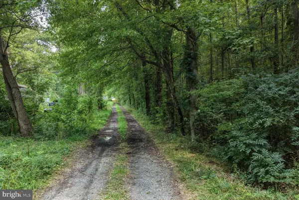 111 THICKET RD, Camden Wyoming, DE 19934