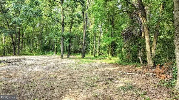 111 THICKET RD, Camden Wyoming, DE 19934