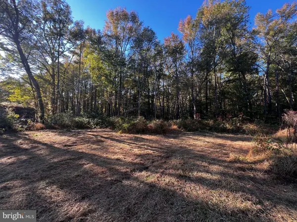 3076 DOWNS CHAPEL RD, Clayton, DE 19938