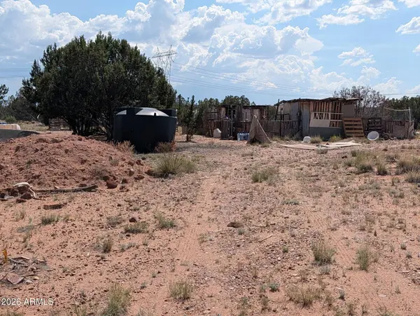 9 N9117 -- #360, Concho, AZ 85924
