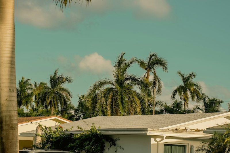 Single story Boca Raton house roofline framed by royal palms, typical of Camino Gardens house prices in the $1,475,000 range