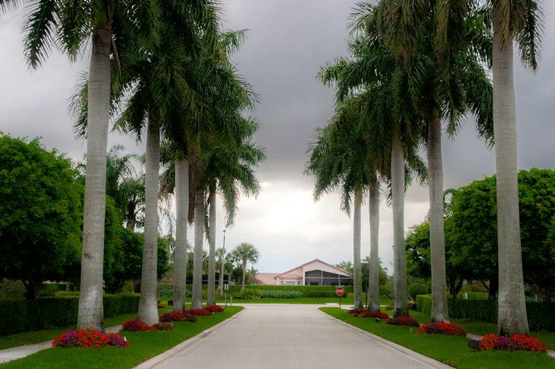 Entrance landscaping and royal palms in a Boca Raton neighborhood with low HOA fees