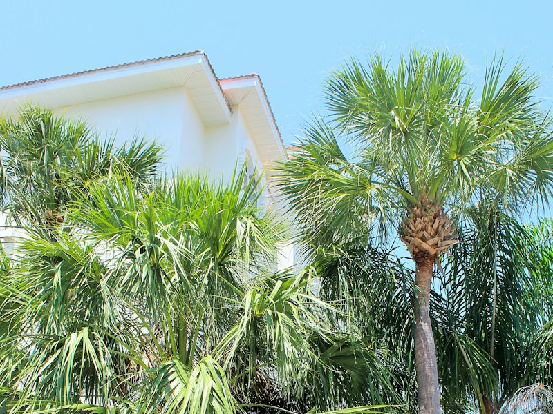 White stucco two story house framed by palms in Boca Raton, like the 2026 construction for sale in Camino Gardens