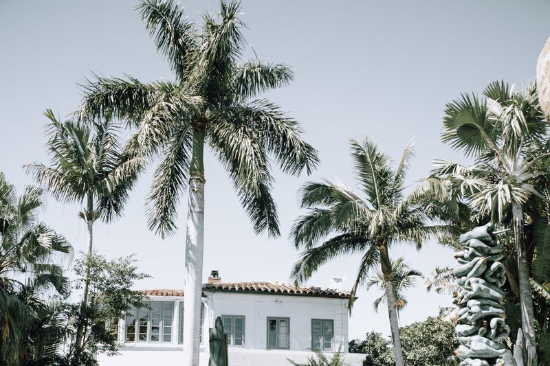 Stucco house with a barrel tile roof framed by royal palms in South Florida