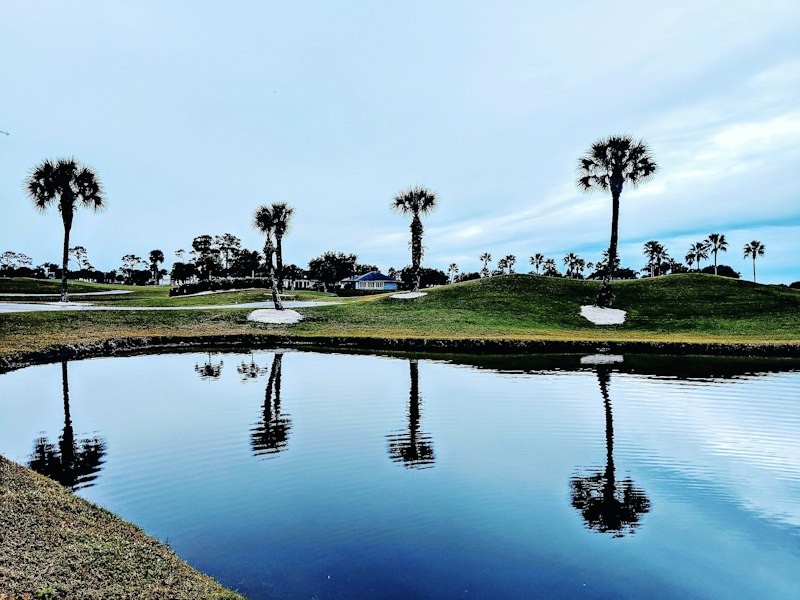 South Florida golf course with palms and a pond, an amenity Royal Palm Polo does not include