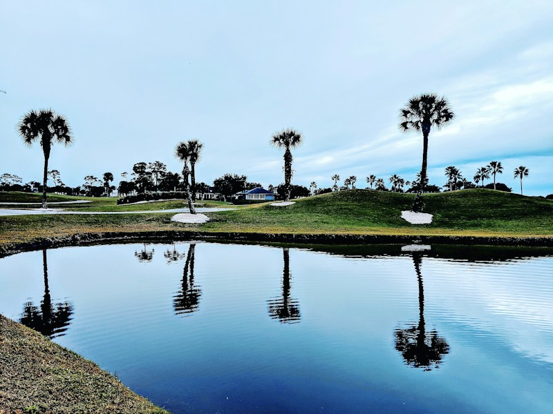 South Florida golf course fairway and water hazard lined with palm trees in Boca Raton