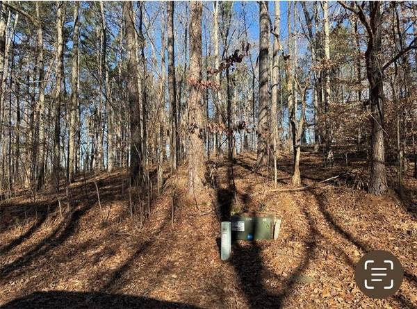 102 Brook Hollow Lake TRL, Cumming, GA 30028