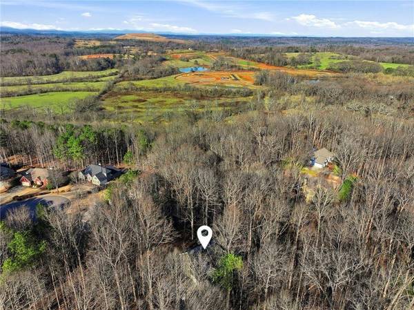 9240 Old Preserve TRL, Ball Ground, GA 30107