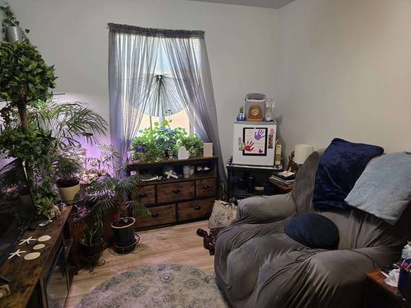 1666 S Depew St, Lakewood, CO 80232-7234