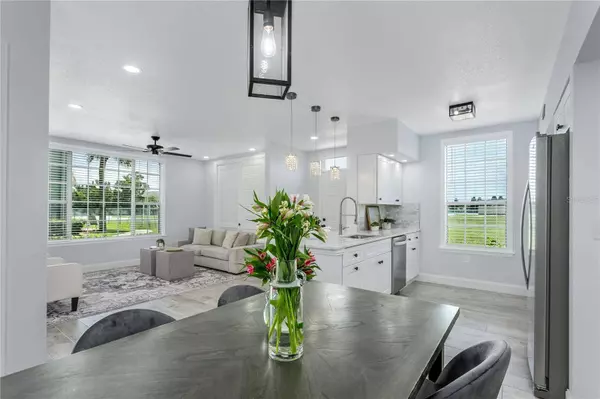 10520 WHITE LAKE CT #10520, Tampa, FL 33626