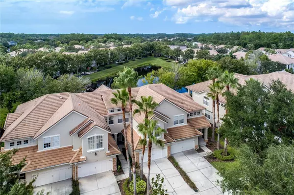 14522 MIRABELLE VISTA CIR, Tampa, FL 33626