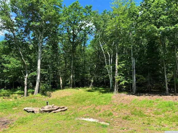 641 N North Lake Road RD, Tannersville, NY 12485