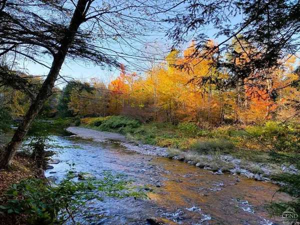 42 - 50 Stoney Clove RD, Hunter, NY 12442