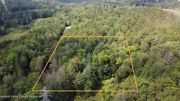 Tbd Stone St, Haines Falls, NY 12436