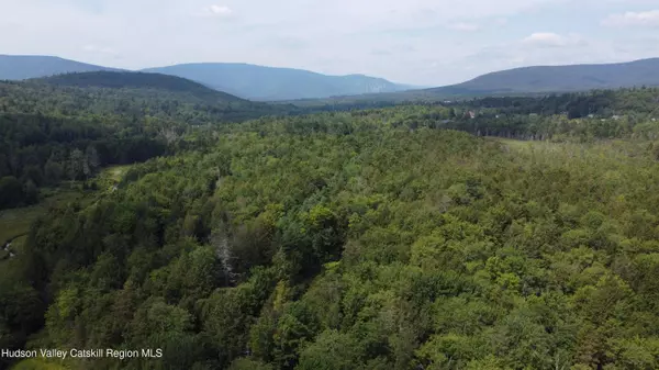 Tbd Stone St, Haines Falls, NY 12436