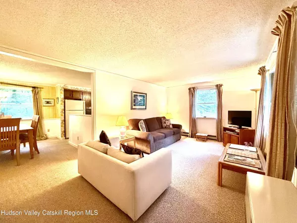 31 Garfield AVE, Hunter, NY 12442