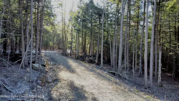 139 Woodland TRL, East Jewett, NY 12424