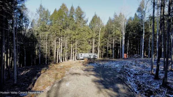 139 Woodland TRL, East Jewett, NY 12424