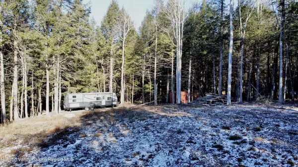 139 Woodland TRL, East Jewett, NY 12424