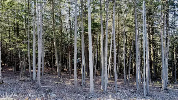 139 Woodland TRL, East Jewett, NY 12424