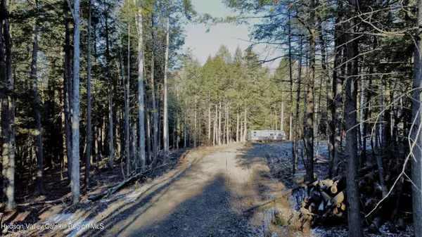 139 Woodland TRL, East Jewett, NY 12424