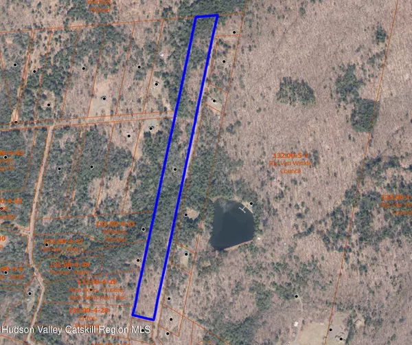 139 Woodland TRL, East Jewett, NY 12424