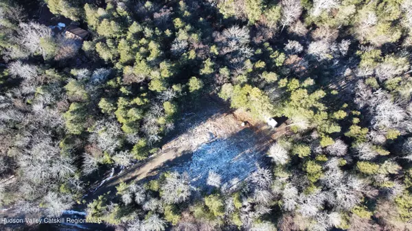 139 Woodland TRL, East Jewett, NY 12424