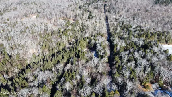 139 Woodland TRL, East Jewett, NY 12424