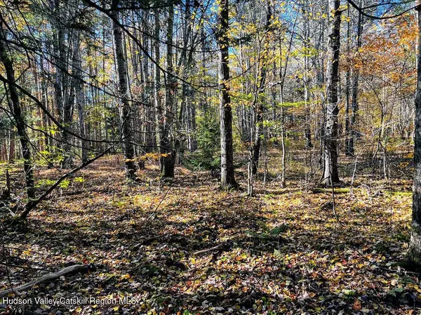 0 New York 23a, Hunter, NY 12442