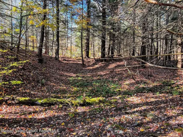 0 New York 23a, Hunter, NY 12442