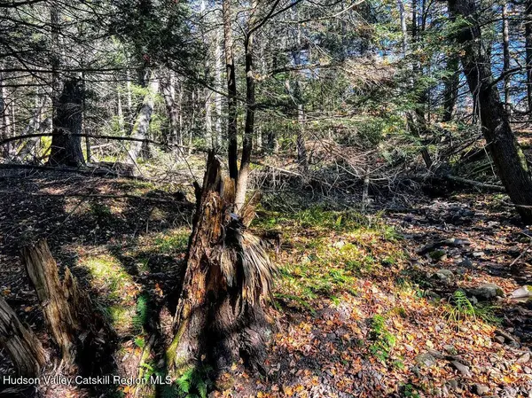 0 New York 23a, Hunter, NY 12442