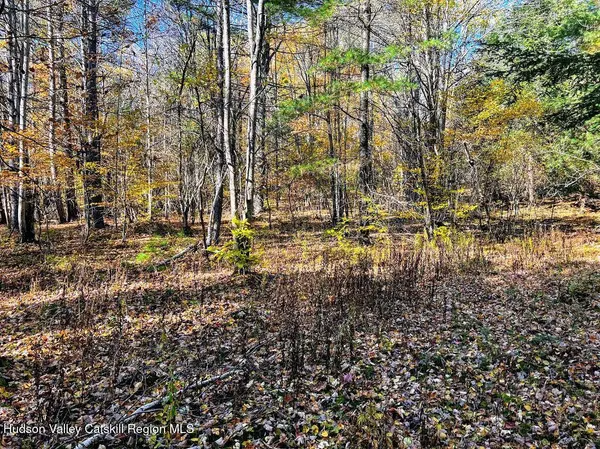 0 New York 23a, Hunter, NY 12442