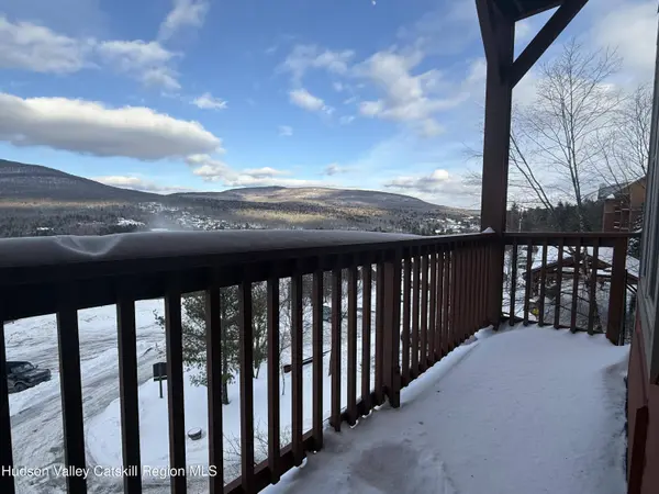 62 Liftside DR #332-334, Hunter, NY 12442