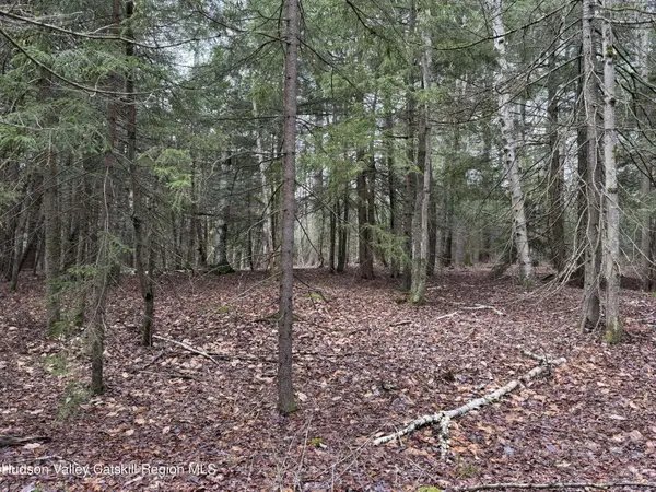 00 Clum Hill RD, Haines Falls, NY 12436