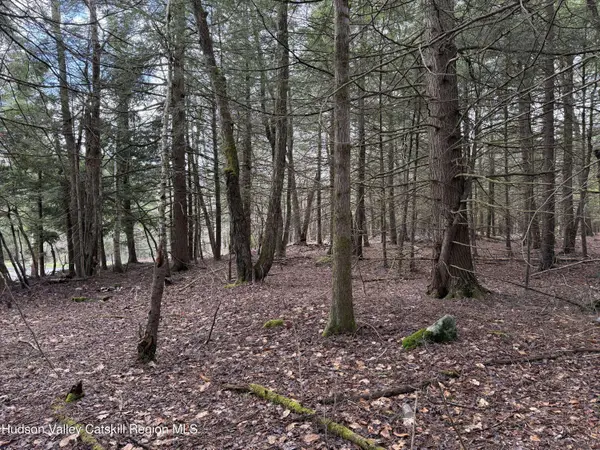 00 Clum Hill RD, Haines Falls, NY 12436