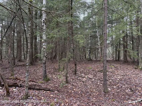 00 Clum Hill RD, Haines Falls, NY 12436