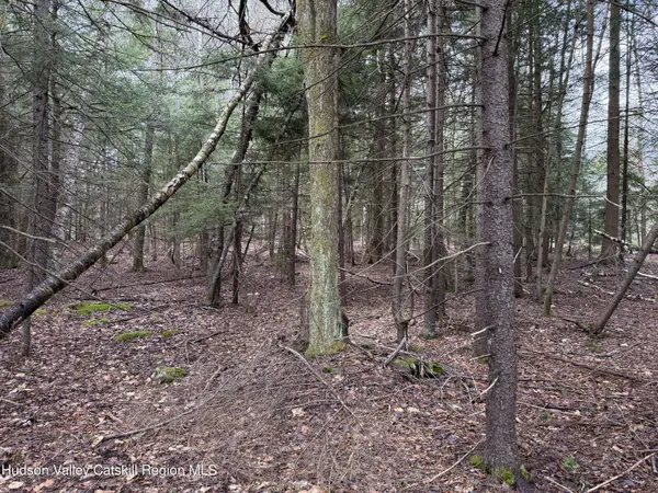 00 Clum Hill RD, Haines Falls, NY 12436