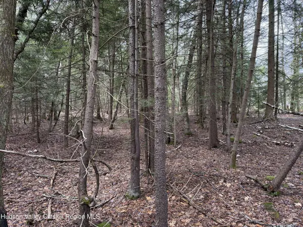 00 Clum Hill RD, Haines Falls, NY 12436