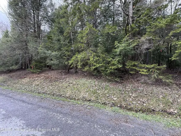 00 Clum Hill RD, Haines Falls, NY 12436