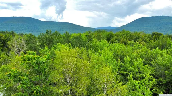 47 - 67 Shad RD, East Jewett, NY 12424