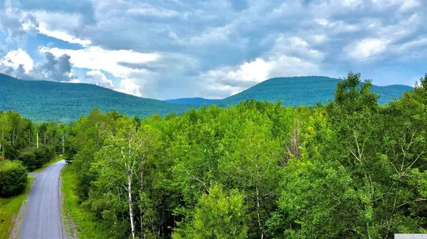 47 - 67 Shad RD, East Jewett, NY 12424
