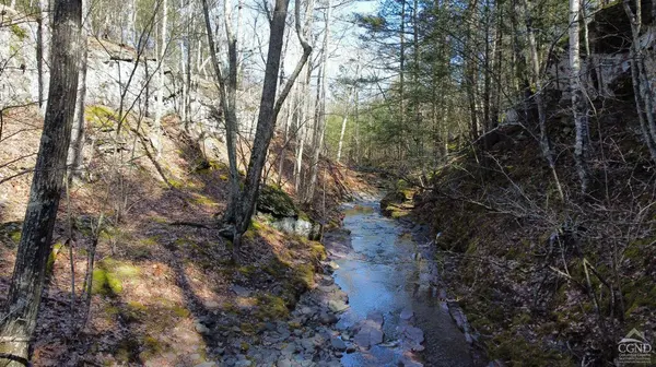 0 Blackhead Mtn RD, Round Top, NY 12473