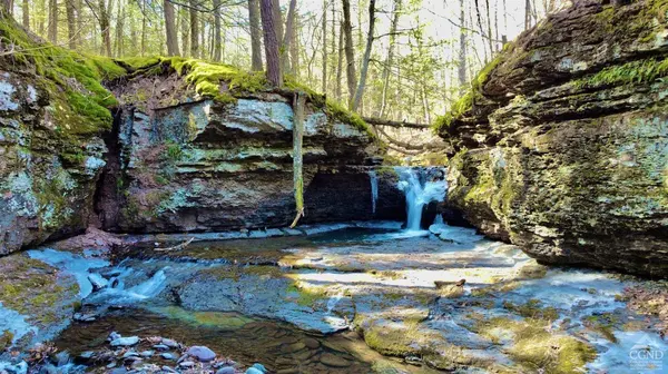 0 Blackhead Mtn RD, Round Top, NY 12473