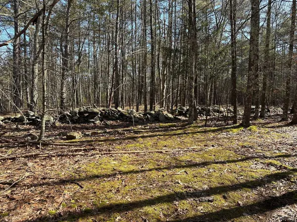 0 Blackhead Mtn RD, Round Top, NY 12473