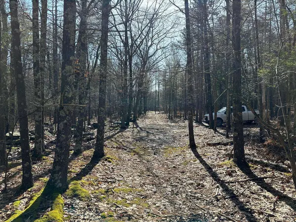 0 Blackhead Mtn RD, Round Top, NY 12473