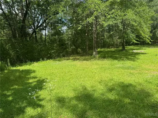 4253 County Rd 8, Reform, AL 35481