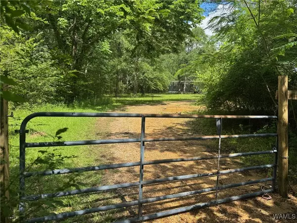 4253 County Rd 8, Reform, AL 35481