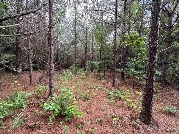 1 Highway 159, Fayette, AL 35555